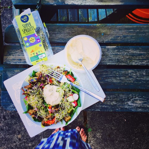 Aubergine and humus.JPG